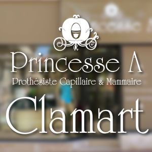 PrincesseA-Clamart-3c Mentions légales